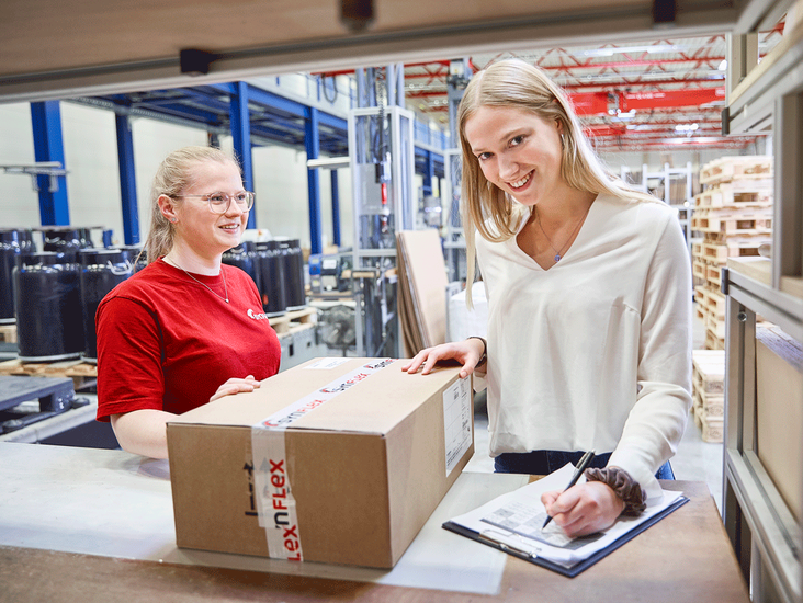 Karriere bei SynFlex
